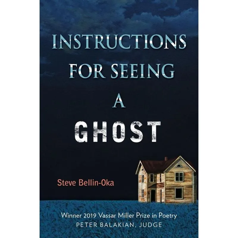 Instructions for Seeing a Ghost