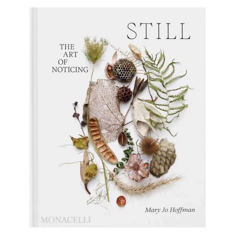 STILL - THE ART OF NOTICING