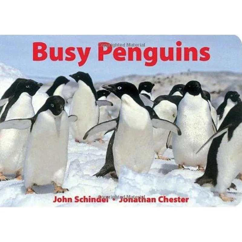 Busy Penguins