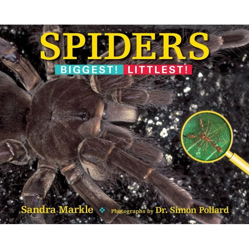 SPIDERS