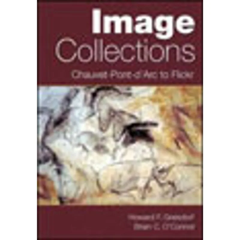 STRUCTURES OF IMAGE COLLECTIONS - FROM CHAUVET-PONT-D'ARC TO FLICKR