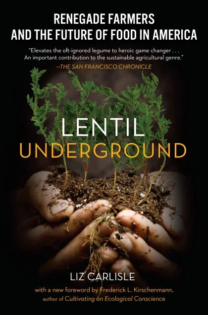 Lentil Underground STANDARD