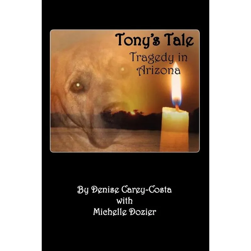 Tonys Tale. Tragedy in Arizona