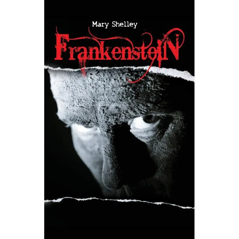 Frankenstein or the Modern Prometheus