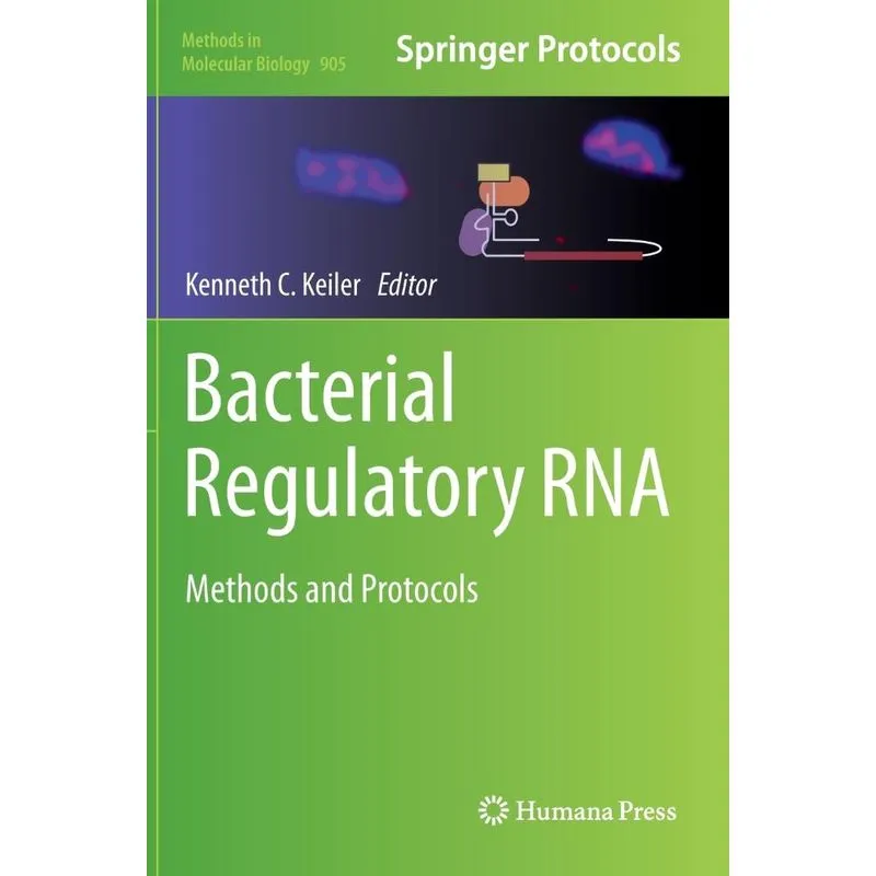 Bacterial Regulatory RNA