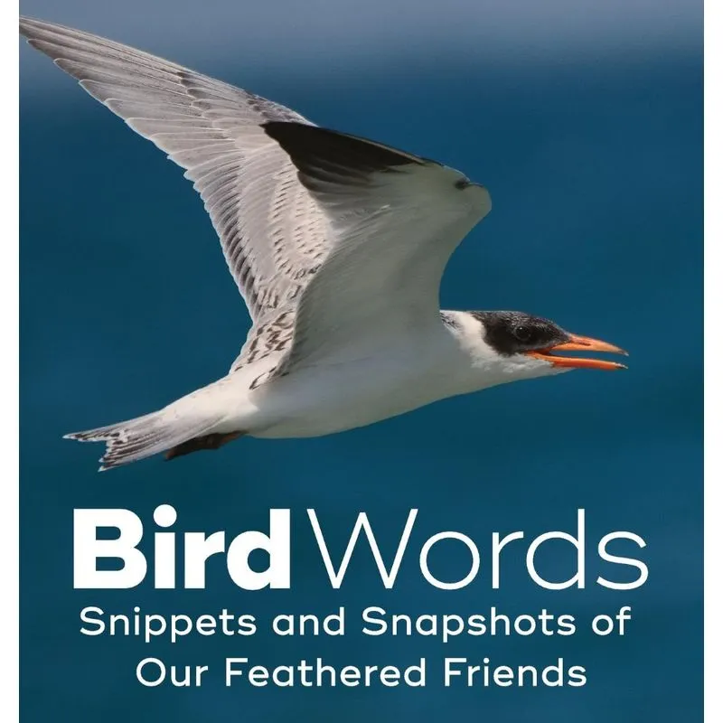 Bird Words