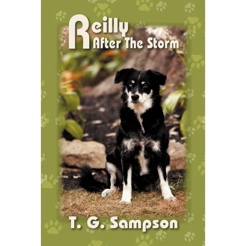 Reilly After the Storm