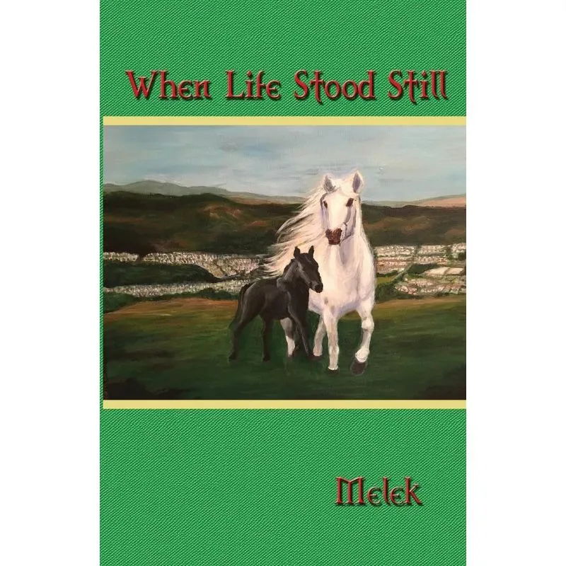 When Life Stood Still