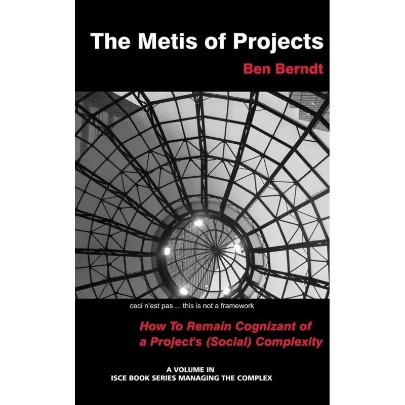 The Metis of Projects