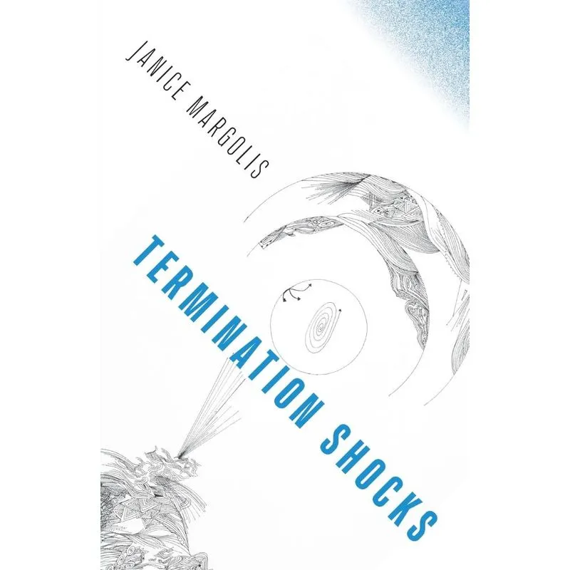 Termination Shocks