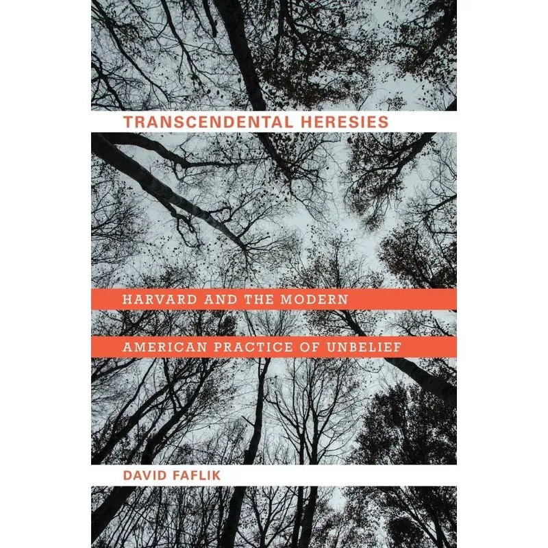 Transcendental Heresies