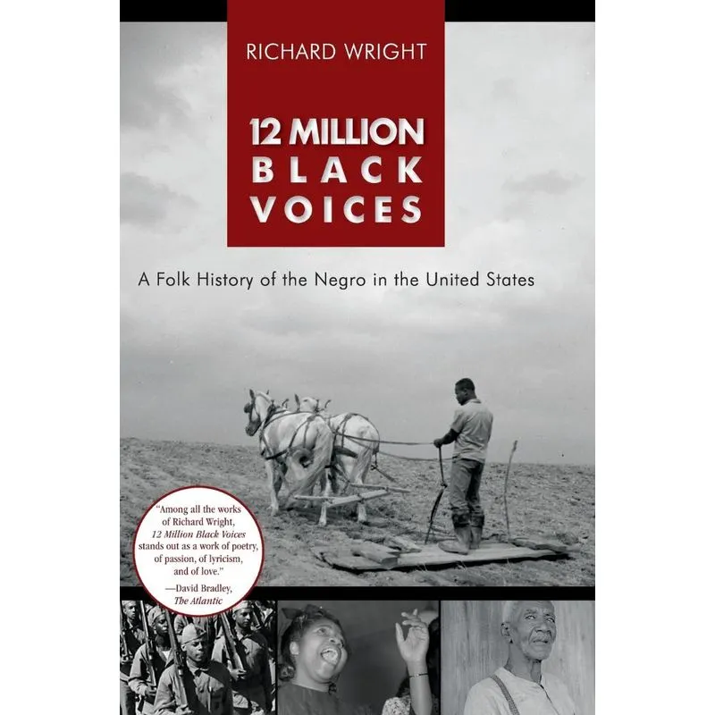 12 Million Black Voices