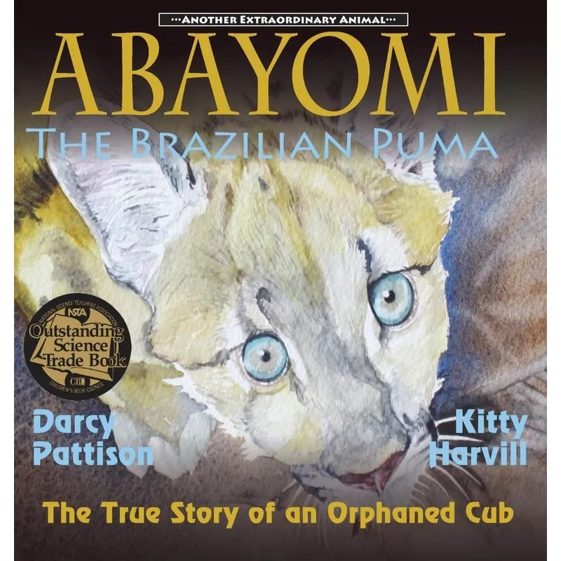 Abayomi, the Brazilian Puma