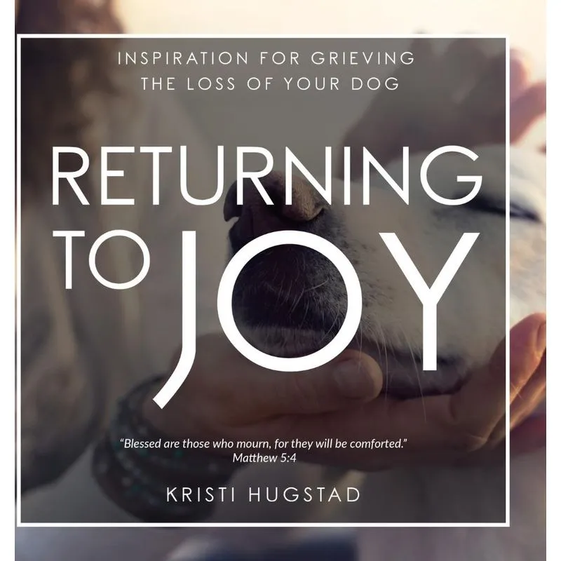 Returning To Joy