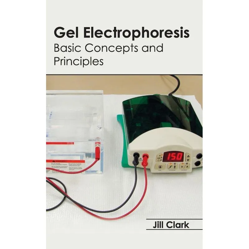 Gel Electrophoresis