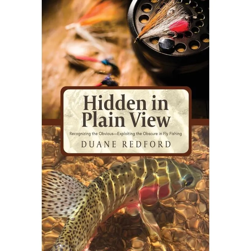Hidden in Plain View