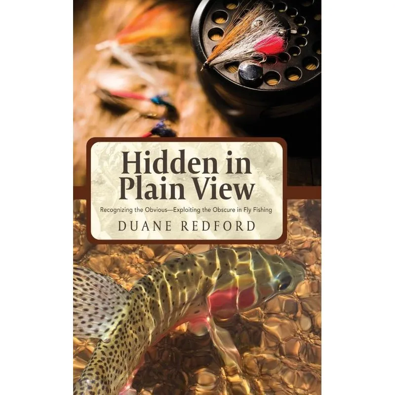 Hidden in Plain View