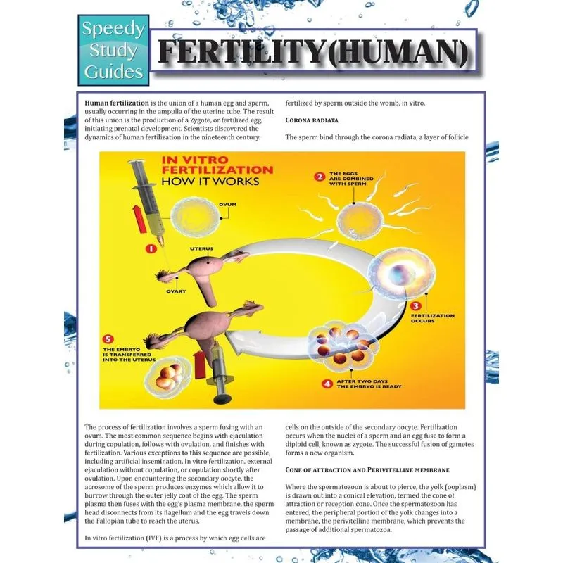 Fertility (Human)