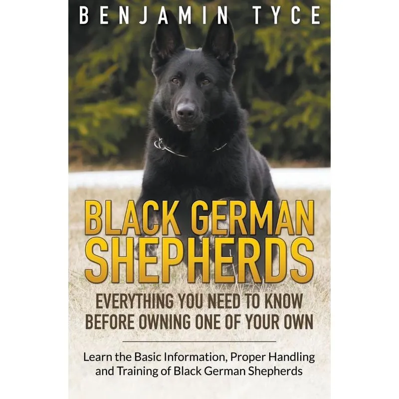 Black German Shepherds