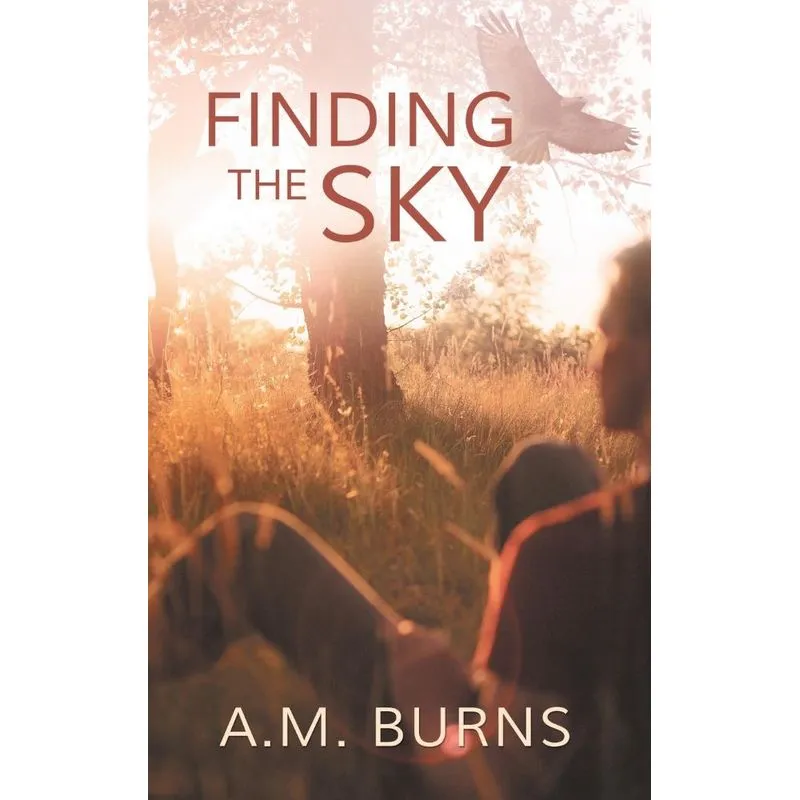 Finding the Sky