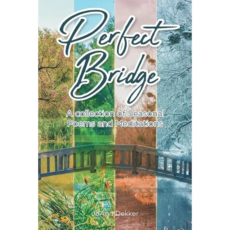 PERFECT BRIDGE