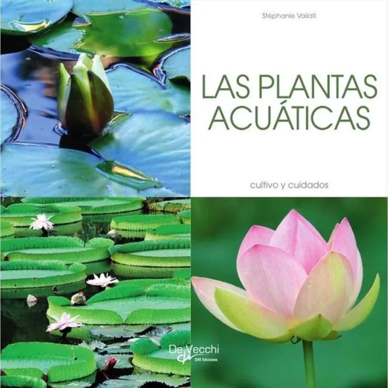 Las plantas acuáticas - Espanhol