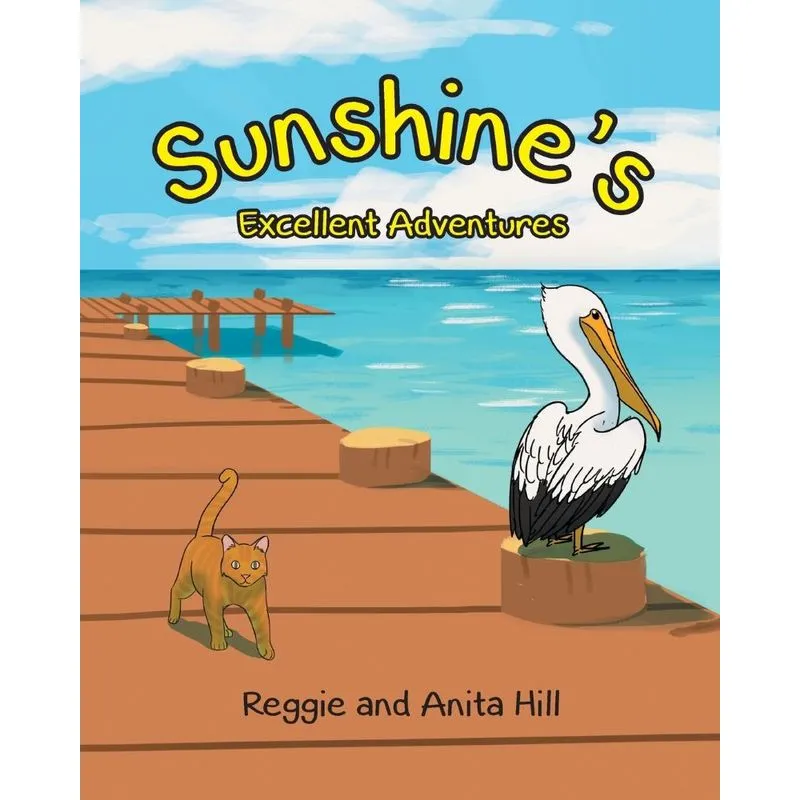 Sunshines Excellent Adventures