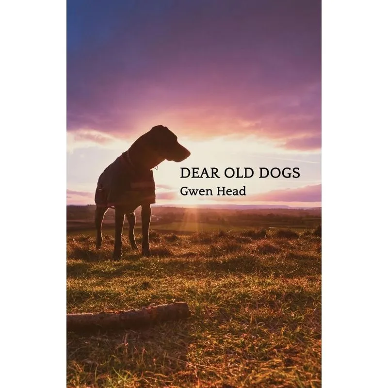 Dear Old Dogs