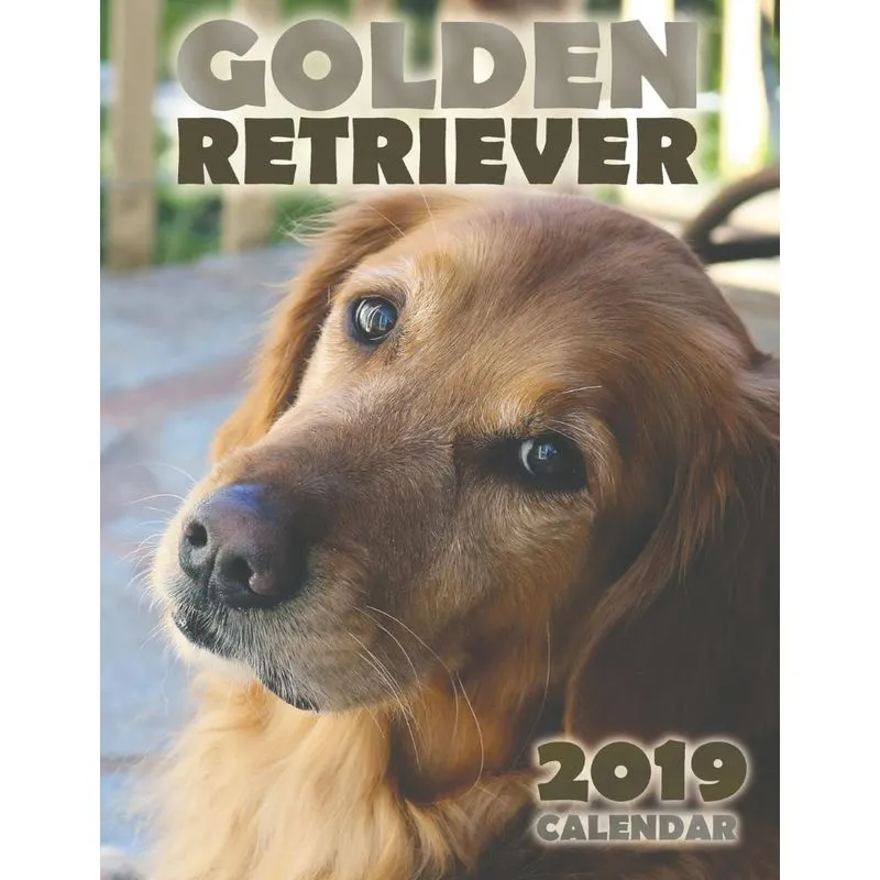 Golden Retriever 2019 Calendar