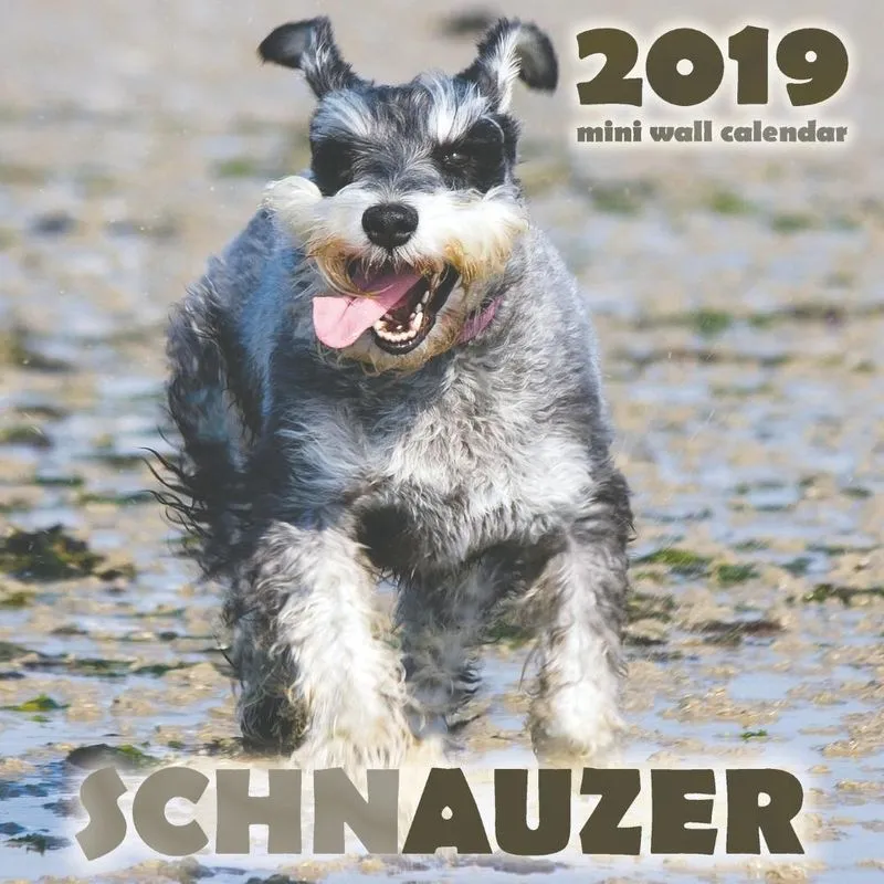 Schnauzer 2019 Mini Wall Calendar