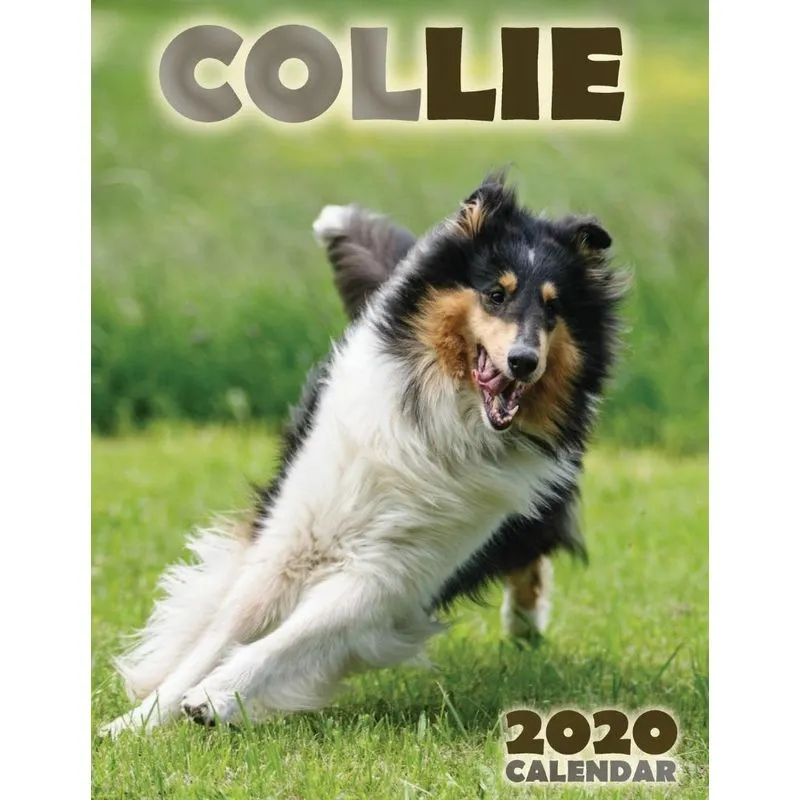 Collie 2020 Calendar