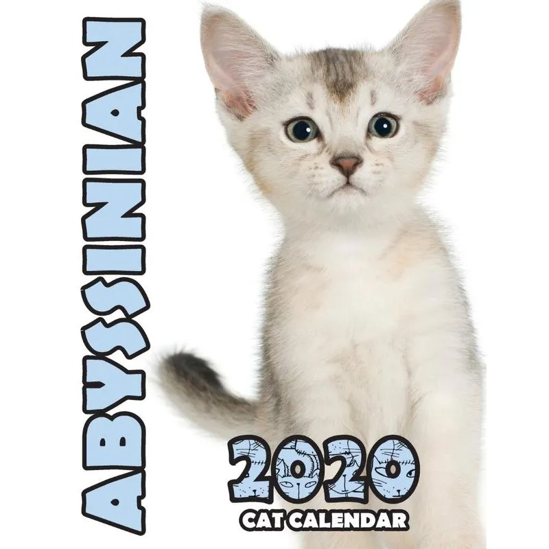 Abyssinian 2020 Cat Calendar