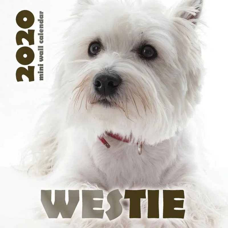 Westie 2020 Mini Wall Calendar