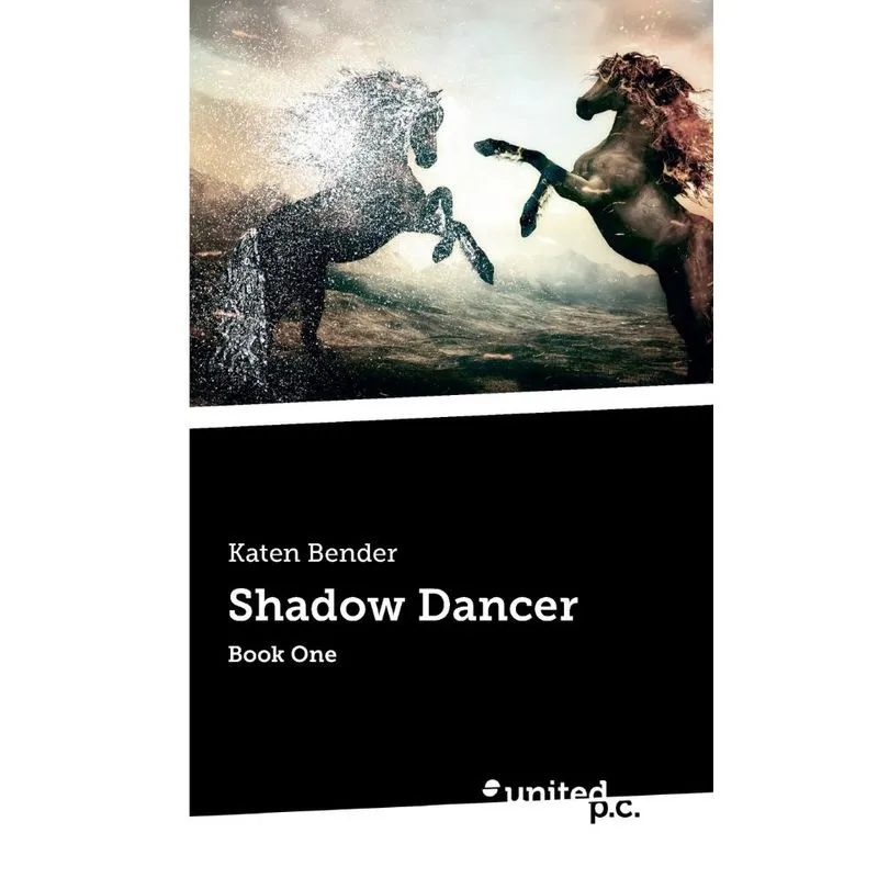 Shadow Dancer
