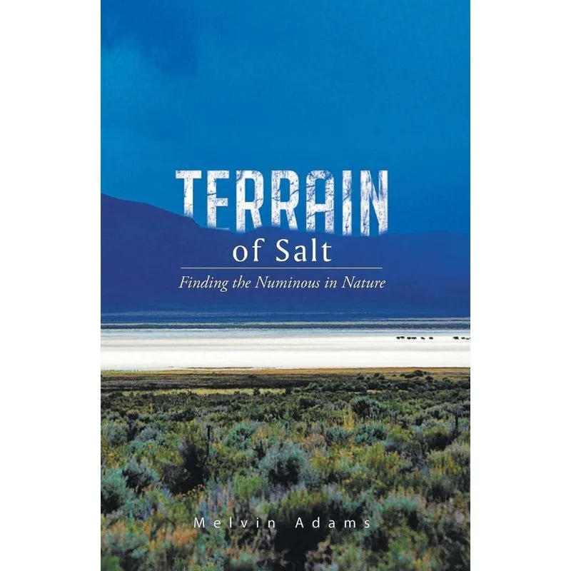 Terrain of Salt