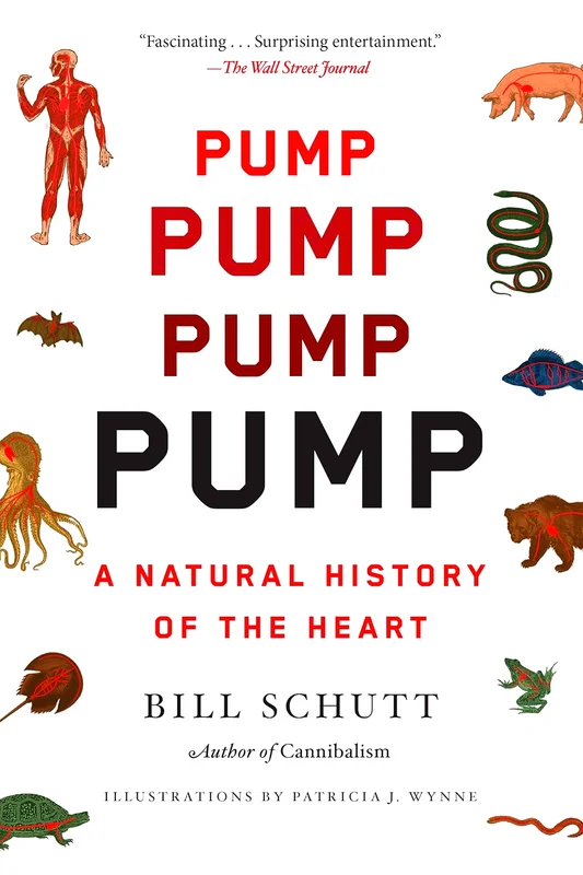 Pump: A Natural History Of The Heart
