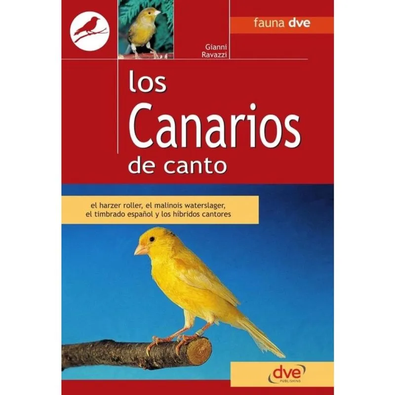 Los canarios de canto - Espanhol