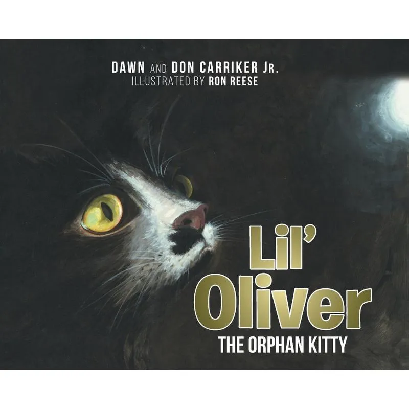 Lil Oliver the Orphan Kitty