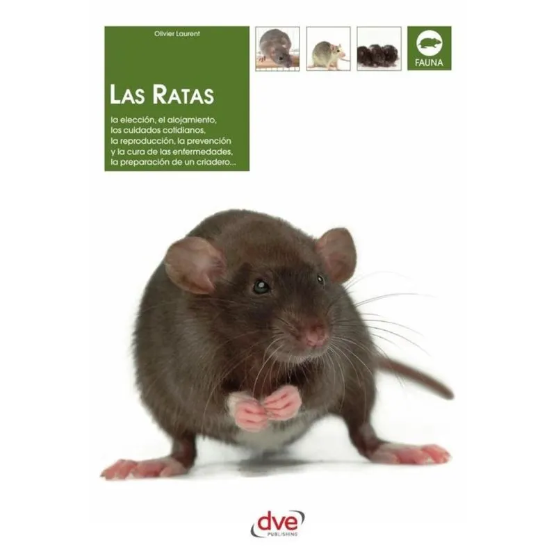 Las ratas - Espanhol