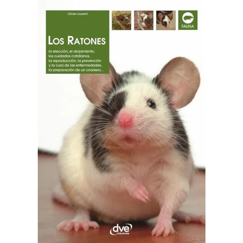 Los ratones - Espanhol