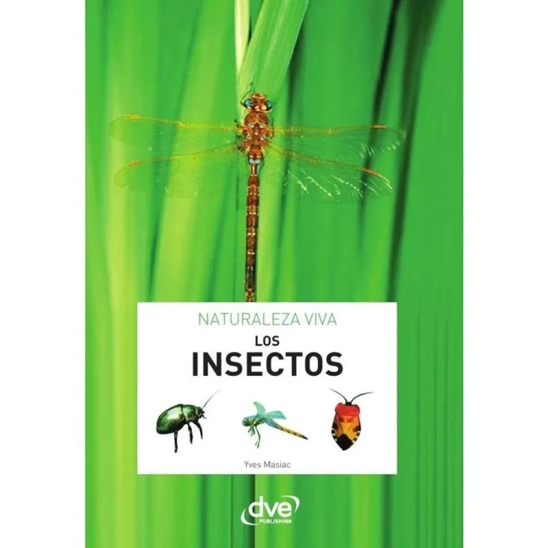 Los insectos - Espanhol