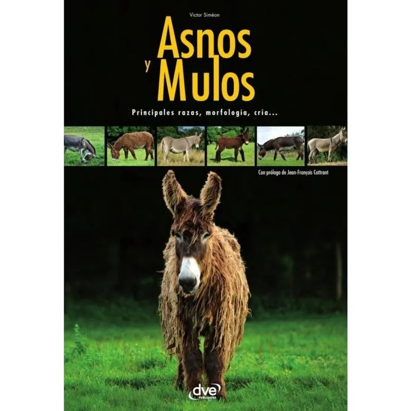 Asnos y mulas - Espanhol