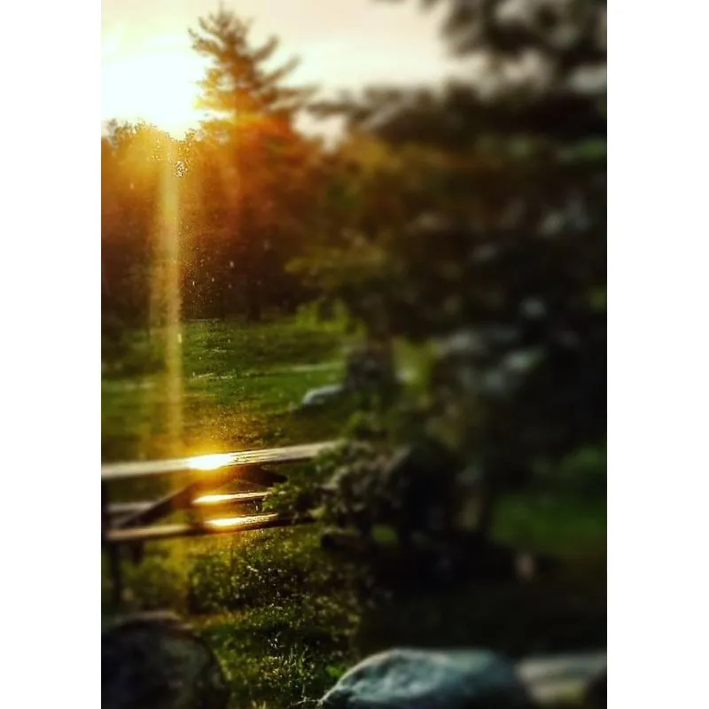 Sunrise Park Sketch Journal