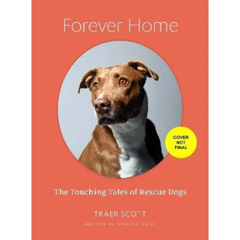 FOREVER HOME