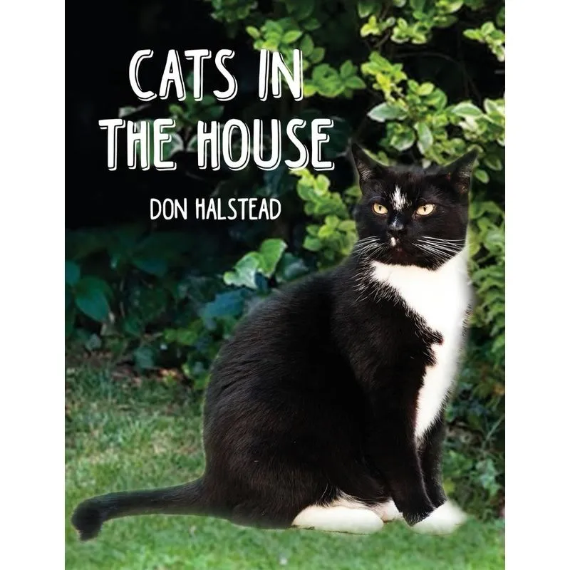 Cats in the House