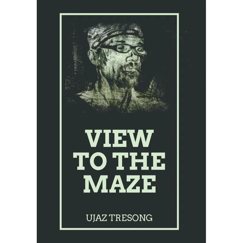 View to the Maze