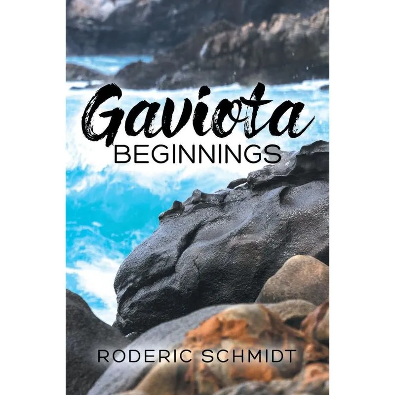 Gaviota Beginnings
