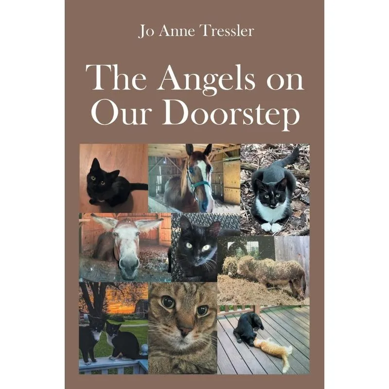 The Angels On Our Doorstep