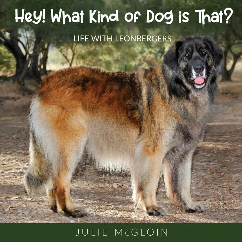 Hey! What Kind Of Dog Is That?
