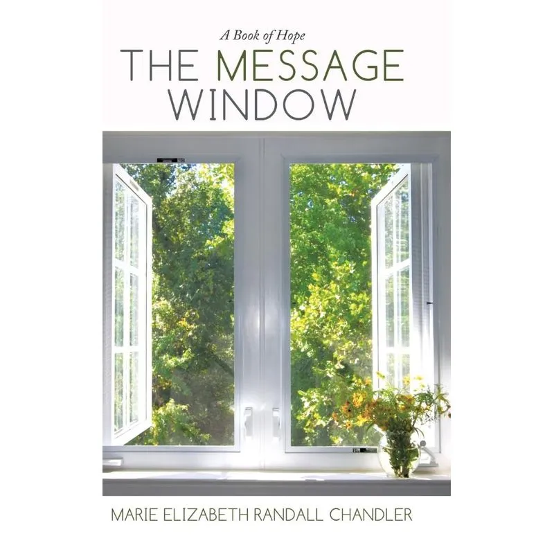 The Message Window